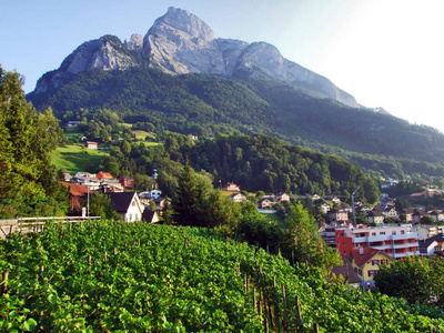 瑞士圣加伦州阿彭策尔阿尔卑斯山山脉中的一座或几座照片