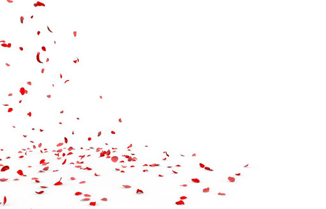 小玫瑰花瓣飞舞,落到地板上.孤立的白色背景照片