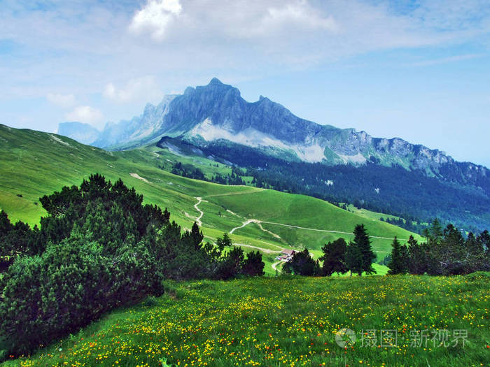 瑞士圣加伦州阿彭策尔阿尔卑斯山山脉山坡上的高山牧场和草地