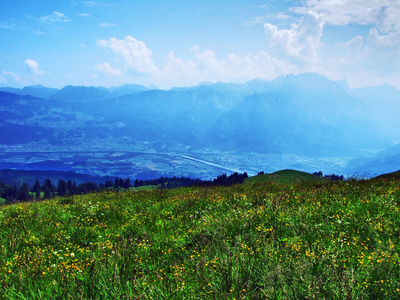 从瑞士圣加仑的冈森山州看到莱茵河山谷莱茵河