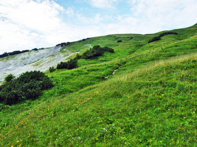 瑞士圣加伦州阿彭策尔阿尔卑斯山脉山坡上的高山牧场和草地照片