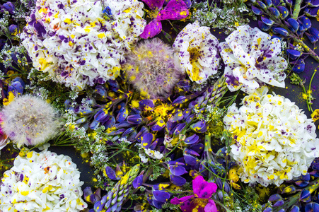 开花混合花振动球羽扇叶玫瑰果黄粉色花背景