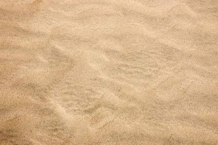 沙滩作为背景。 沙滩上的沙子