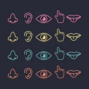 视觉嗅觉听觉触觉味觉图标照片