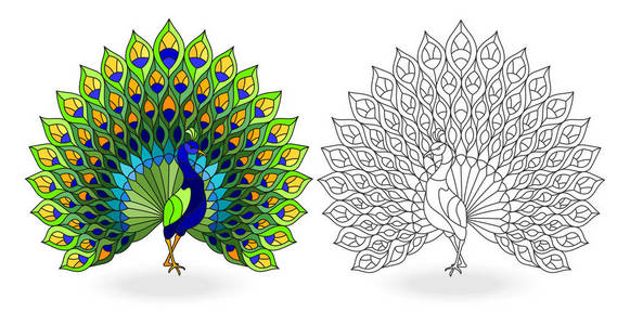 一套彩色玻璃元素与孔雀鸟的轮廓和彩色图像隔离在白色背景上