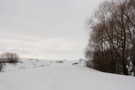 草地上的冬季道路
