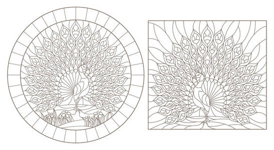 一套轮廓插图，彩色玻璃窗，孔雀，深色轮廓，白色背景
