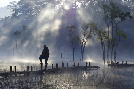 被淹没的树木在湖面上反射着神奇的光雾，人们在日出时活跃着