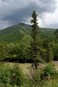 阿尔泰共和国，俄罗斯2018年6月8日俄罗斯西伯利亚楚亚河旁的山区景观