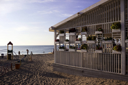 沙滩上的木制咖啡馆，有不同美丽的花朵，黑海