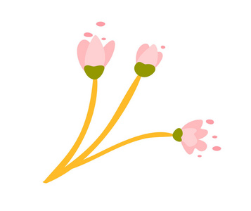 可爱的向量查出的花在白色背景。春天手绘自然例证平设计。用于贺卡印刷品儿童读物
