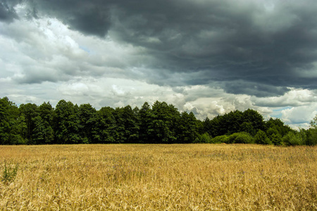 麦地林和雨云观夏日