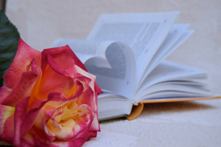 卷进这本书打开了,书页卷进了心脏,色彩斑斓的背景,选择性的聚焦,有着