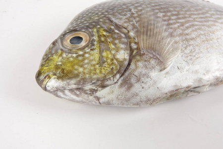 新鲜的拉马约鱼分离在白色上。