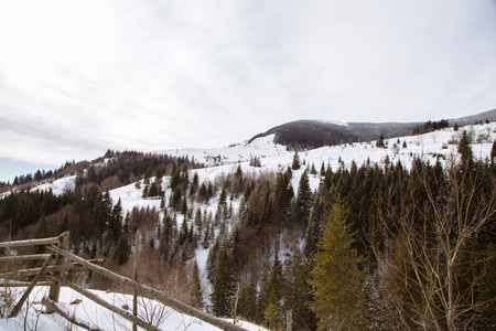 vervhovyna村附近冬季山景