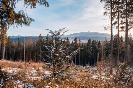 德国哈兹山国家公园冬季景观
