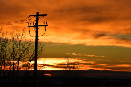 日落时供电线路的剪影图像。