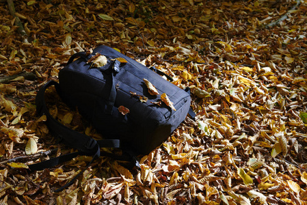 秋季干叶摄影器材黑色背包