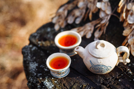 泥白色茶壶，蓝色图案和两个喝碗，红色茶在森林里的树桩。秋日