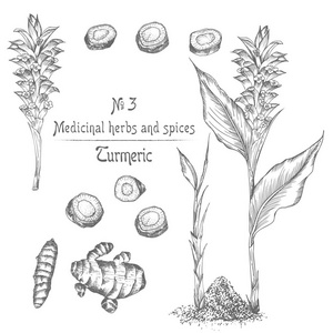 饭线图标图片-饭线图标素材-饭线图标插画-摄图新视界