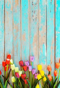 郁金香花上复古木质背景，边框设计..复古色彩色调春季或夏季背景的概念花