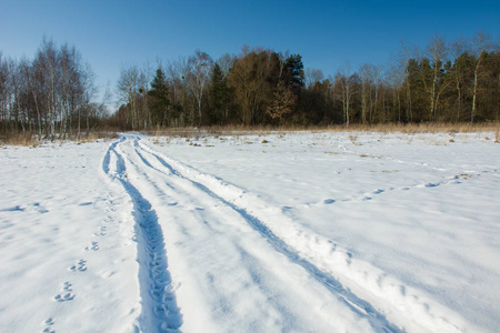 白雪覆盖的道路和森林