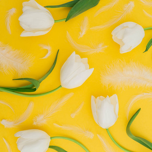 黄色背景上白色郁金香花和羽毛的酯型。 平躺顶部视图。