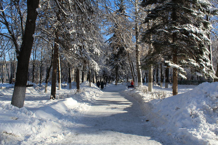 雪覆盖的小巷在城市照片小巷在城市。冬季。大量的雪。白天是阳光明媚的天空是蓝色的。在寒冷的霜雪季节，美丽的城市景观。