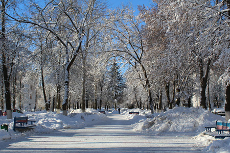 雪覆盖的小巷在城市照片小巷在城市。冬季。大量的雪。白天是阳光明媚的天空是蓝色的。在寒冷的霜雪季节，美丽的城市景观。