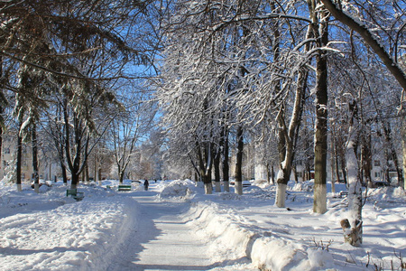 雪覆盖的小巷在城市照片小巷在城市。冬季。大量的雪。白天是阳光明媚的天空是蓝色的。在寒冷的霜雪季节，美丽的城市景观。