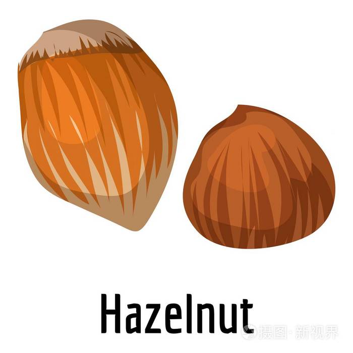 榛子图标卡通风格