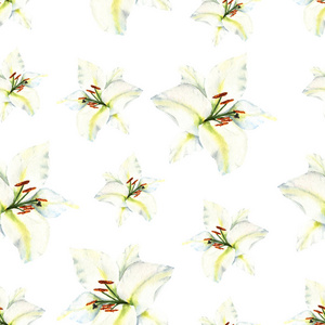 水彩无缝的样式与白色百合花的例证在白色背景