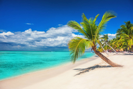 在索纳天堂岛上的绿松石海上有棕榈和帆船的海滩照片