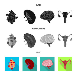 生物学和科学标志的矢量设计。网络生物学和实验室股票符号的收集