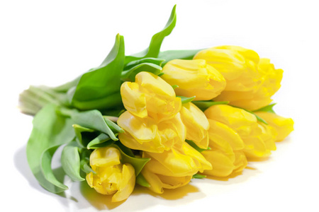 在白色背景上分离的黄色郁金香的花束。情人节和母亲日背景。国际妇女日