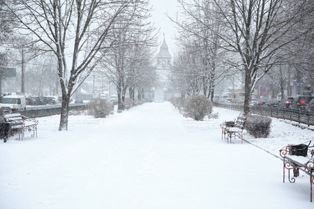 冬天的城市公园，暴风雪天