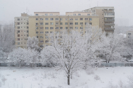 罗马尼亚布加勒斯特的暴风雪。大雪时，一栋老公寓楼前有一棵白树。