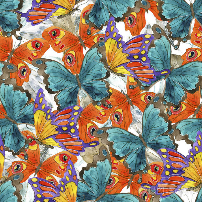 色彩鲜艳的蝴蝶和鸟类羽毛的无缝图案.重复背景用手绘水彩涂鸦插图.