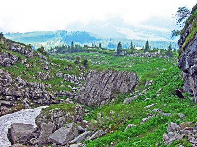 瑞士圣加伦州杜肯堡地区丘尔弗先恩山脉的石块和岩石