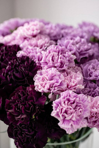 桌子上花瓶里的美丽康乃馨花。深紫色紫色和粉红色的多色花的花束。家居装饰。花卉纹理, 壁纸