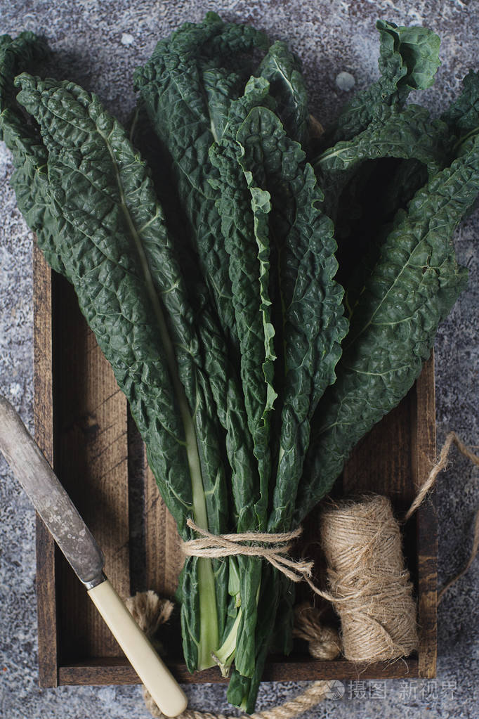 原始绿色有机lacinatokale叶在黑暗混凝土背景上的俯视图