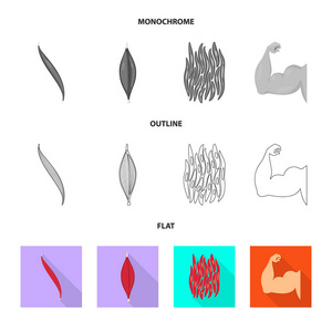 纤维和肌肉符号的向量例证。网络纤维和车身股票符号集