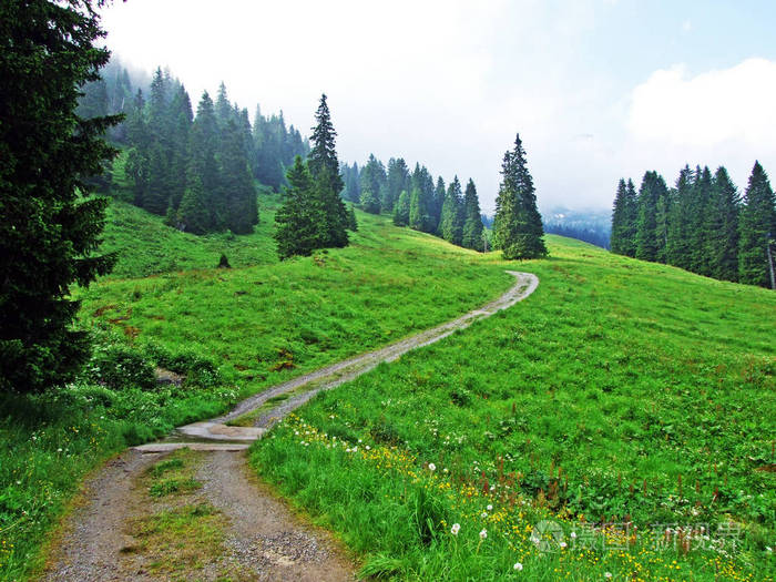 瑞士圣加伦州杜肯堡地区丘尔弗林登山脉斜坡上的高山牧场和草地