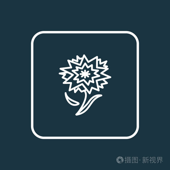 康乃馨图标线符号.时尚风格中的优质分离石竹元素