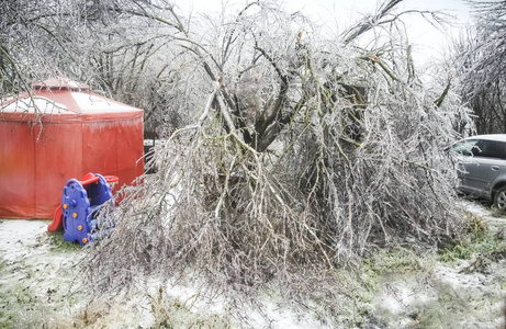 一场冬天的暴风雪打破了一栋住宅楼院子里一棵花园树的树干。 选择性聚焦