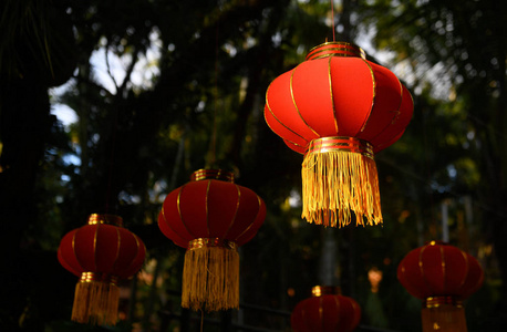 为中国新年做准备。红灯笼装饰