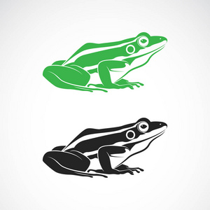 白色背景上绿色青蛙和黑蛙的矢量。 两栖动物。 动物。 青蛙图标或标志。 易于编辑的分层矢量插图。