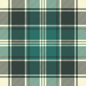 绿色格子织物纹理无缝图案. 矢量图.照片
