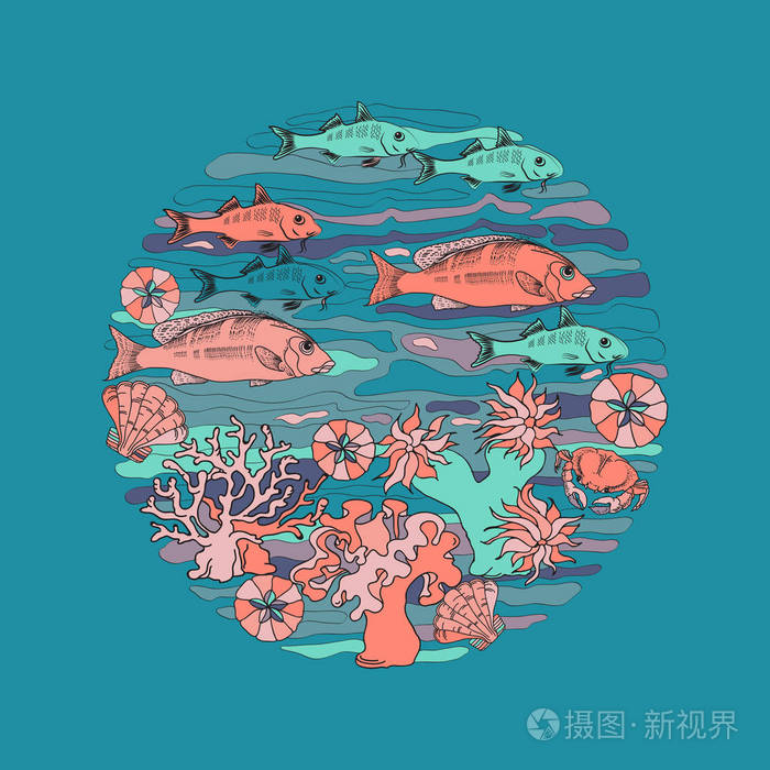 手绘鱼,珊瑚,贝壳和海藻.海主题设计元素.反向海洋矢量.