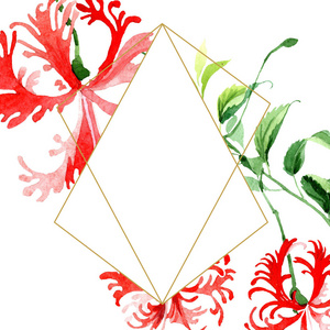 红香花花。水彩背景插图集。框架边框装饰正方形